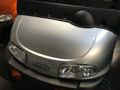 Platinum Paint Job